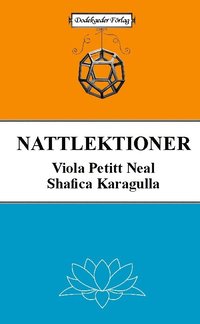 bokomslag Nattlektioner