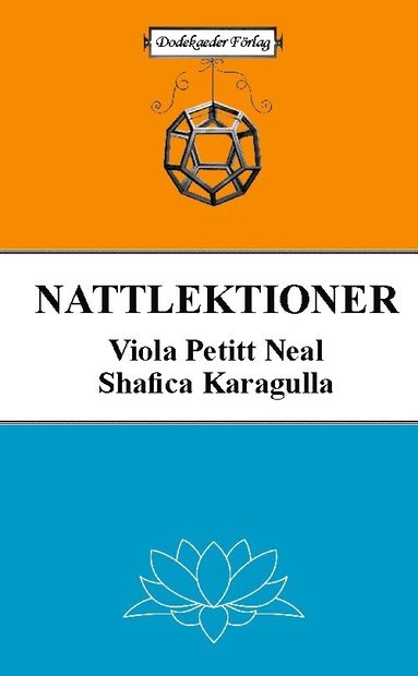 bokomslag Nattlektioner