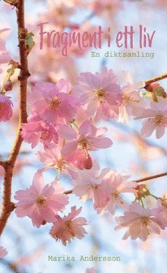 Marika Andersson - Fragment i ett liv : en diktsamling, Häftad