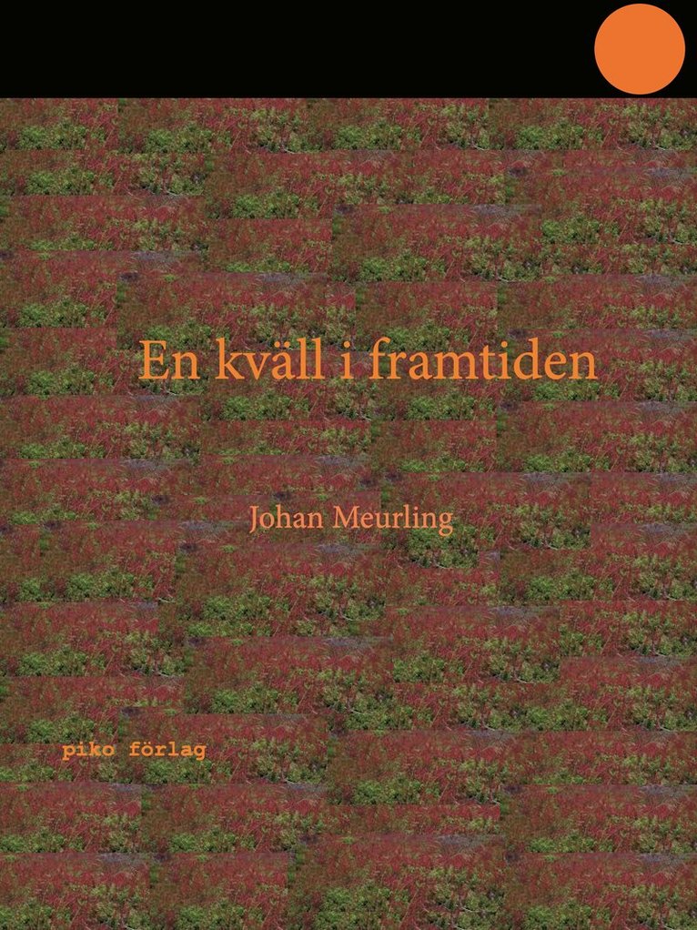 En kväll i framtiden 1