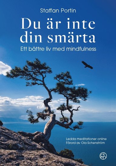 bokomslag Du är inte din smärta : Ett bättre liv med mindfulness