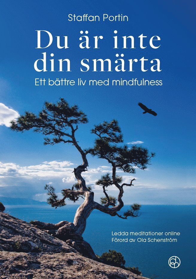 Du är inte din smärta : ett bättre liv med mindfulness 1