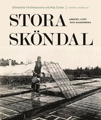 bokomslag Stora Sköndal : arbetet, livet och diakonerna
