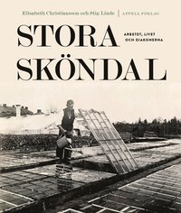 bokomslag Stora Sköndal : Arbetet, livet och diakonerna