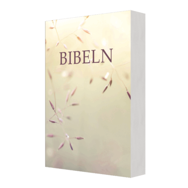 Svenska Folkbibeln - Bibeln SFB 2015, kompakt pocket, Äng, Häftad
