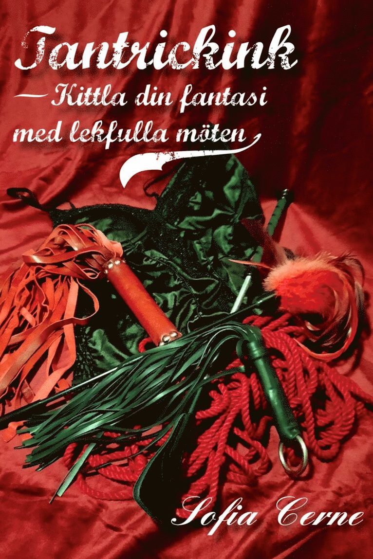 Tantrickink - Kittla din fantasi med lekfulla möten, Häftad