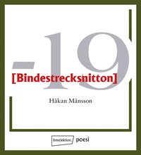 bokomslag Bindestrecksnitton