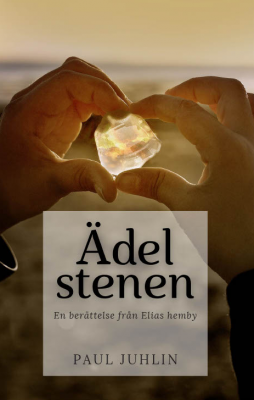 bokomslag Ädelstenen : en berättelse från Elias hemby