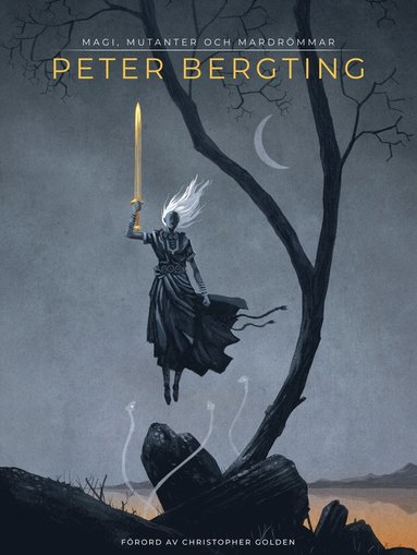bokomslag Peter Bergting : magi, mutanter och mardrömmar