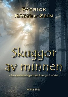 Skuggor av minnen : en novellsamling om att finna ljus i mörker 1