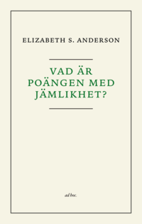 bokomslag Vad är poängen med jämlikhet?