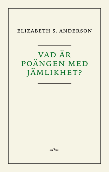 bokomslag Vad är poängen med jämlikhet?