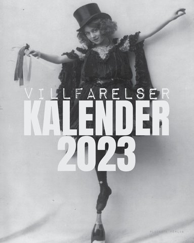 bokomslag Villfarelser - kalender 2023