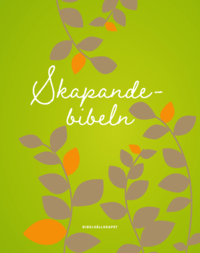 bokomslag Skapandebibeln