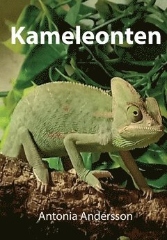 bokomslag Kameleonten