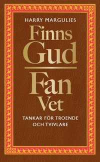 bokomslag Finns Gud - Fan vet : tankar för troende och tvivlare