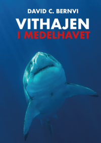 bokomslag Vithajen i Medelhavet