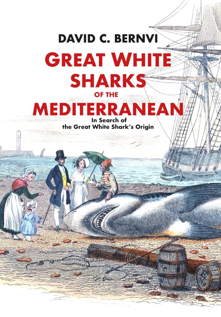 Great white sharks of the Mediterranean : in search of the great white shark's origin 1