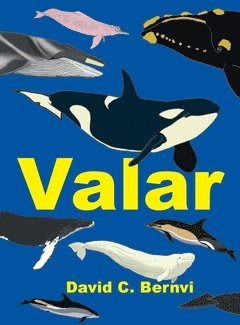 Valar : en spännande faktabok 1