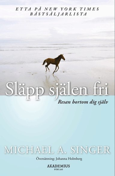 Michael A. Singer - Släpp själen fri : resan bortom dig själv, Häftad