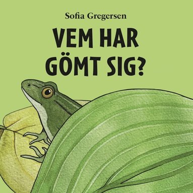 bokomslag Vem har gömt sig?