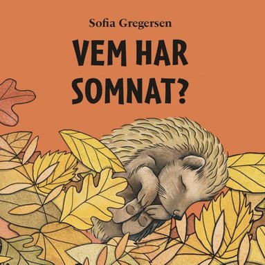 bokomslag Vem har somnat?