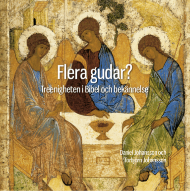 Torbjörn Johansson, Daniel Johansson - Flera Gudar? : treenigheten i Bibel och bekännelse, Häftad