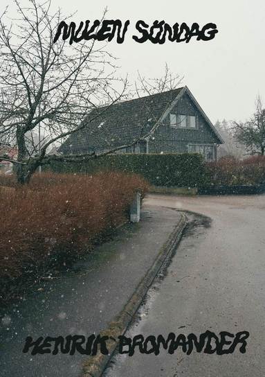 bokomslag Mulen söndag