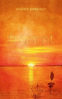 bokomslag Frgmnt