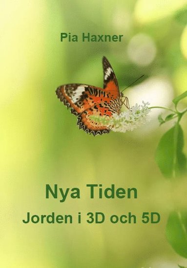 bokomslag Nya Tiden  Jorden i 3D och 5D