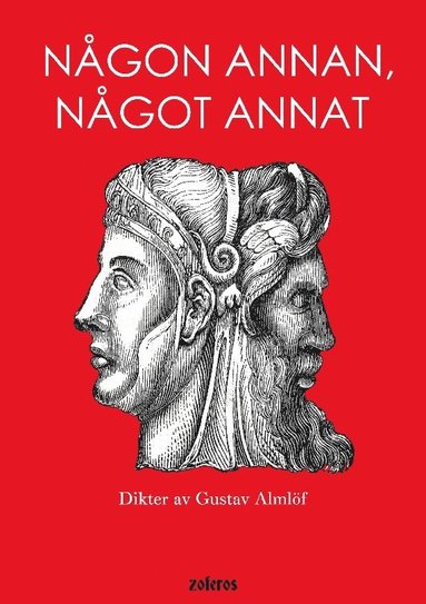 bokomslag Någon annan, något annat