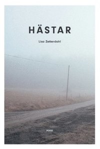 bokomslag Hästar