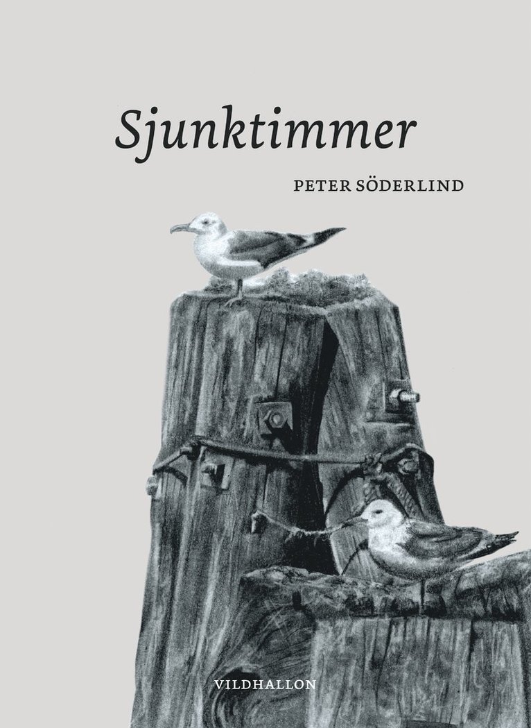 Sjunktimmer 1