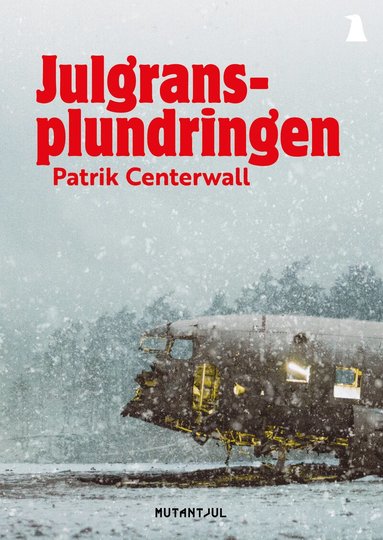 Patrik Centerwall - Julgransplundringen, Häftad