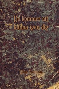 bokomslag Du kommer att känna igen dig