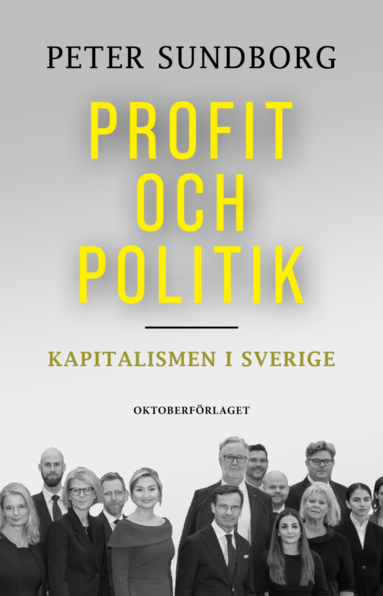 bokomslag Profit och politik Kapitalismen i Sverige
