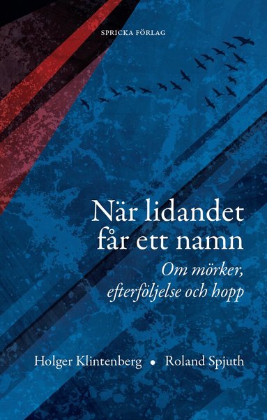 Holger Klintenberg, Roland Spjuth - När lidandet får ett namn : om mörker, efterföljelse och hopp, Häftad