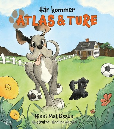 bokomslag Här kommer Atlas och Ture