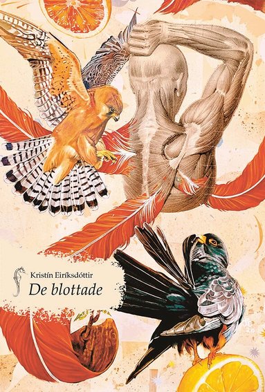 Kristín Eiríksdóttir - De blottade, Häftad