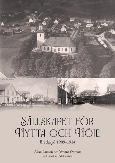 bokomslag Sällskapet för nytta och nöje