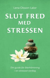 bokomslag Slut fred med stressen : Din guide för återhämtning i en stressad vardag