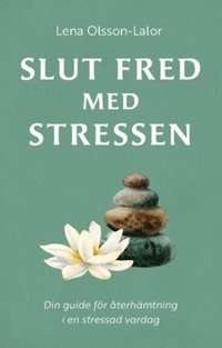 bokomslag Slut fred med stressen : Din guide för återhämtning i en stressad vardag