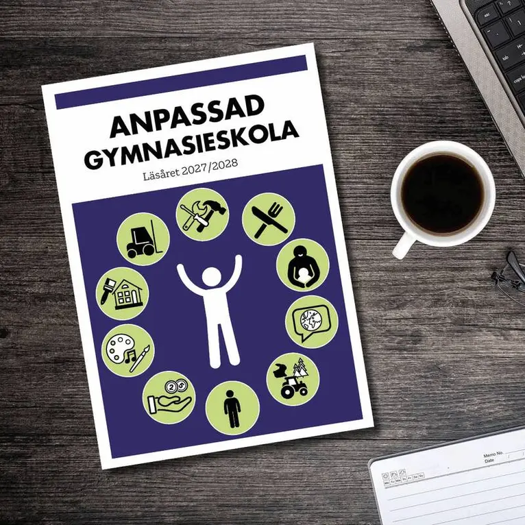 Anpassad gymnasieskola läsåret 2027/2028, Häftad. Tillgänglighet: Lägg i varukorg