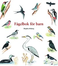 bokomslag Fågelbok för barn