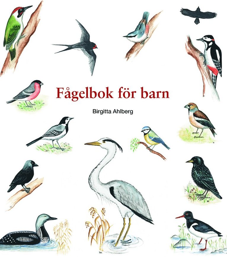Birgitta Ahlberg - Fågelbok för barn, Häftad