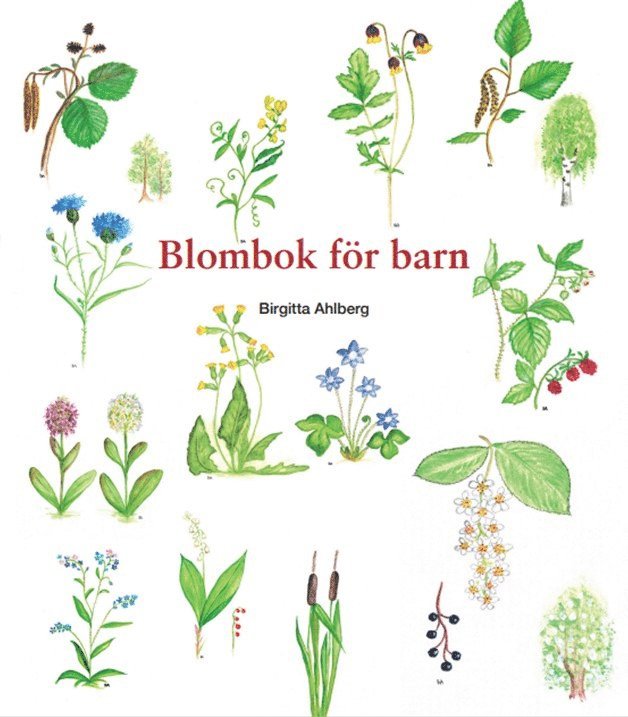 Birgitta Ahlberg - Blombok för barn, Häftad