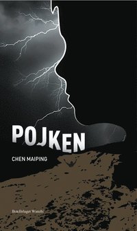 bokomslag Pojken