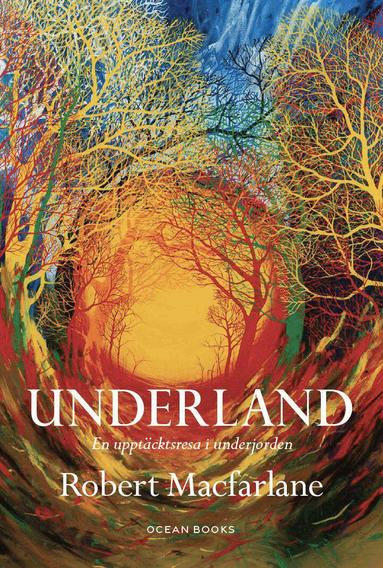 Robert Macfarlane - Underland : en upptäcktsresa i underjorden, Inbunden
