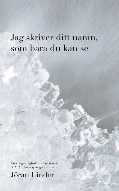 bokomslag Jag skriver ditt namn som bara du kan se : en spegeldagbok i polarfararen S. A. Andrées spår genom isen