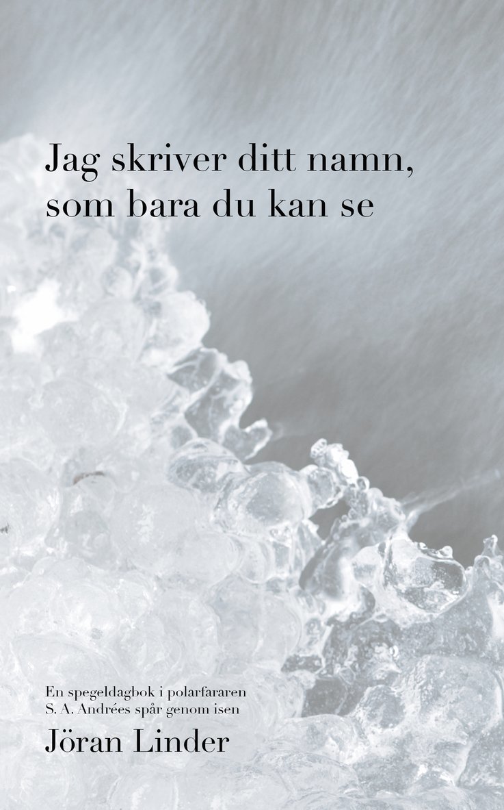 Jag skriver ditt namn som bara du kan se : en spegeldagbok i polarfararen S. A. Andrées spår genom isen